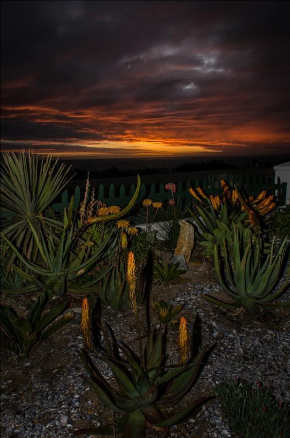 Villa The Beachhouse Port Nolloth Exterior foto